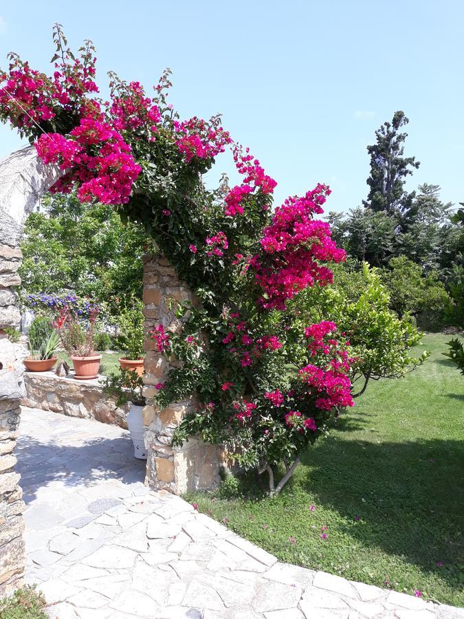Garden Rooms Pirgos Psilonerou Extérieur photo